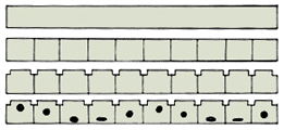 Zoetrope flattened